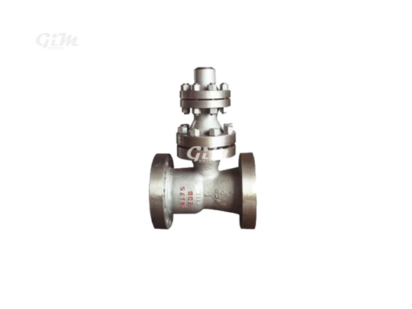 air-release-check-valve